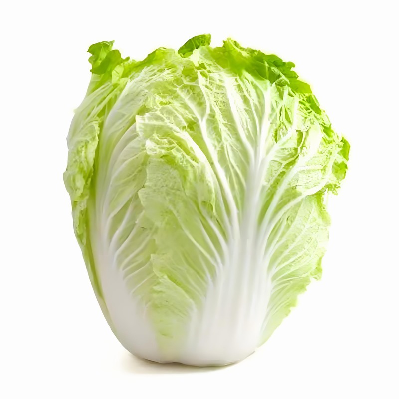 春季保健養(yǎng)生知識大全 春季養(yǎng)生的食物